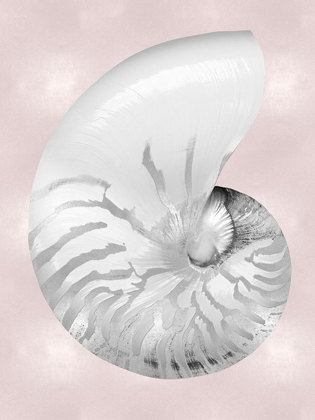 Picture of SILVER SHELL ON PINK BLUSH II