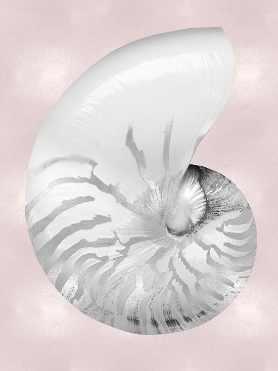 Picture of SILVER SHELL ON PINK BLUSH II