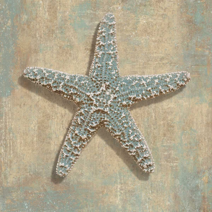 Picture of AQUA STARFISH