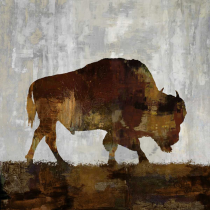 Picture of BISON