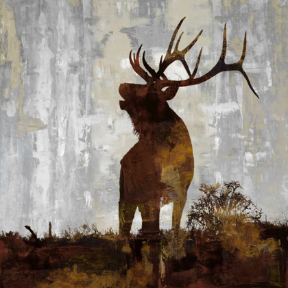 Picture of ELK