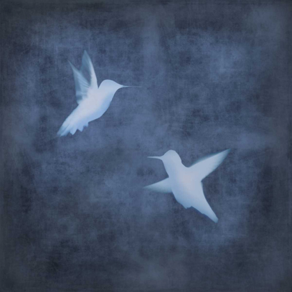 Picture of FLIGHT IN BLUE II