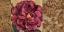 Picture of HEIRLOOM II
