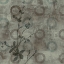 Picture of ENTICE I