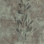Picture of ENTICE II