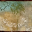 Picture of HAVEN II
