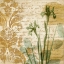 Picture of ROMANCE II