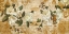 Picture of MAGNOLIA ROMANCE