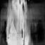 Picture of FREE FALL BLACK AND WHITE I