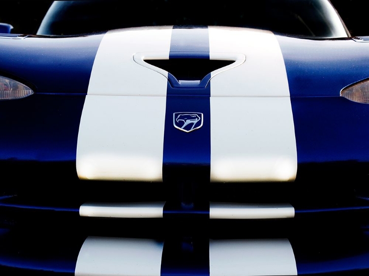 Picture of DODGE VIPER 4