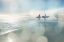 Picture of SURFERS