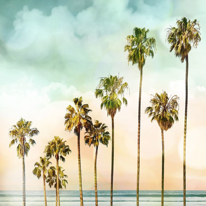 Picture of BEACH PALMS I