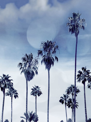 Picture of BEACH PALMS INDIGO I