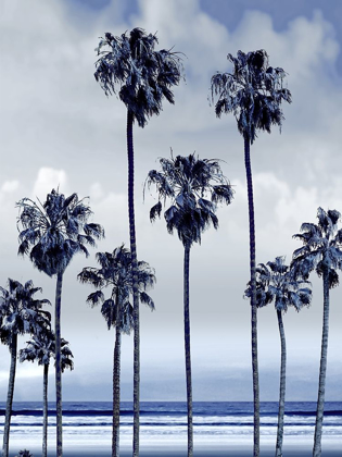 Picture of BEACH PALMS INDIGO II