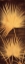 Picture of FAN PALM TRIPTYCH II