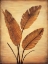 Picture of TREASURED PALM II
