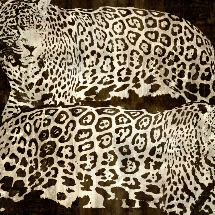 Picture of LEOPARDS