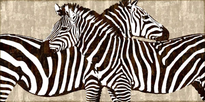 Picture of ZEBRA GATHERING
