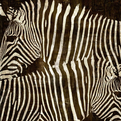 Picture of ZEBRAS