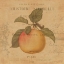 Picture of POMME