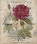 Picture of BOTANIQUE I