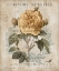 Picture of BOTANIQUE II