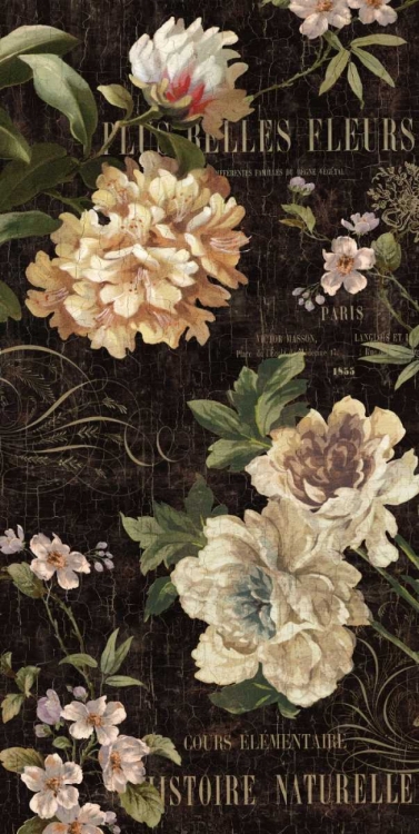 Picture of FLEURS ANTIQUE II