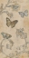 Picture of PAPILLION DECORATIF II