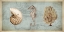 Picture of SEA TREASURES I