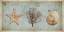 Picture of SEA TREASURES II