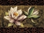 Picture of EVERLASTING I