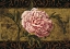 Picture of EVERLASTING II