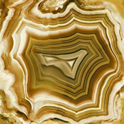 Picture of AGATE IN AMBER