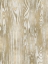 Picture of MOVEMENT II