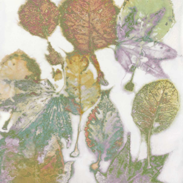 Picture of MULTI COLORED NATURE I