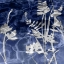 Picture of INDIGO NATURE I