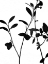 Picture of NATURE SILHOUETTE III