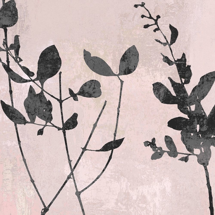Picture of NATURE SILHOUETTE ON BLUSH II