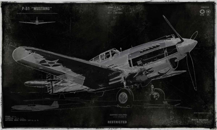 Picture of VINTAGE WAR PLANE