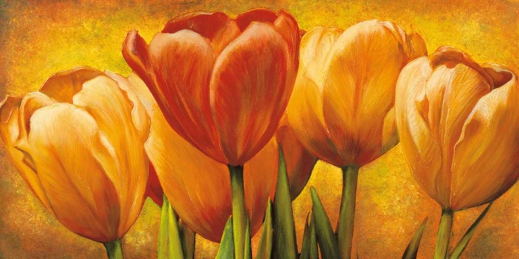 Picture of BOUQUET OF ORANGE TULIPS