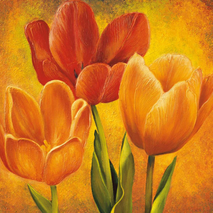 Picture of ORANGE TULIPS I