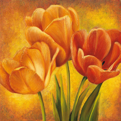 Picture of ORANGE TULIPS II