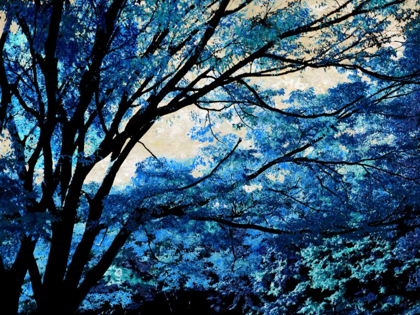 Picture of BLUE FOREST III