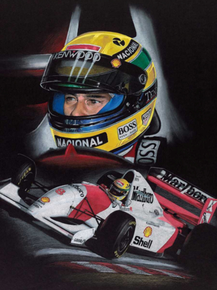 Picture of SENNA