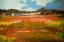 Picture of IN THE FIELDS