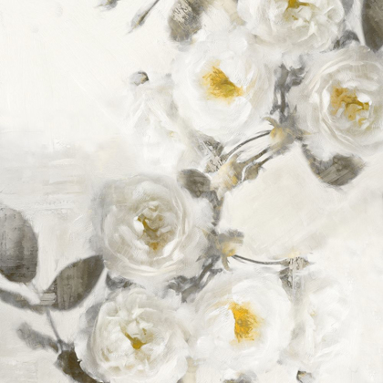Picture of DELICATE II
