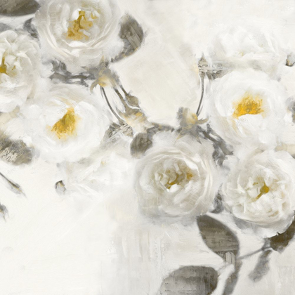 Picture of DELICATE III