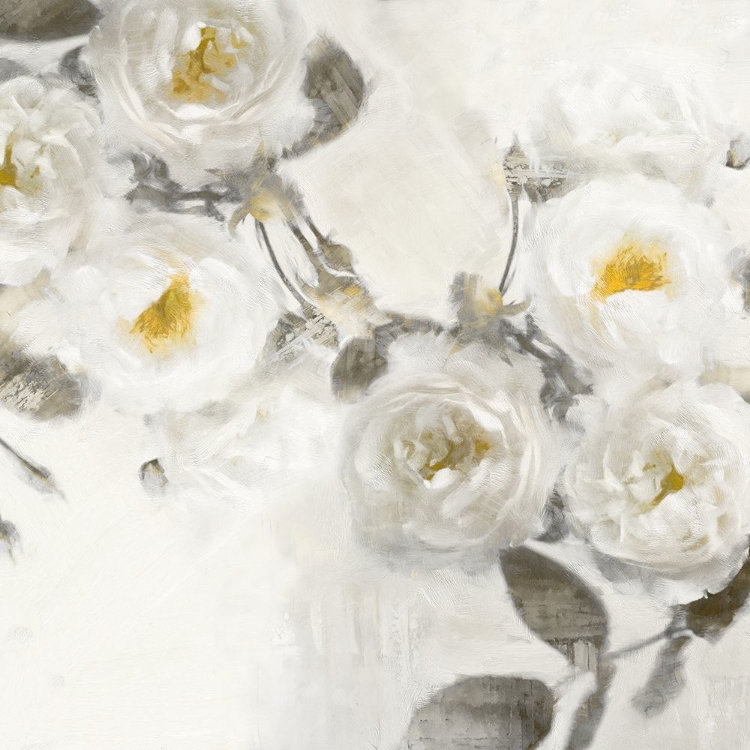 Picture of DELICATE III
