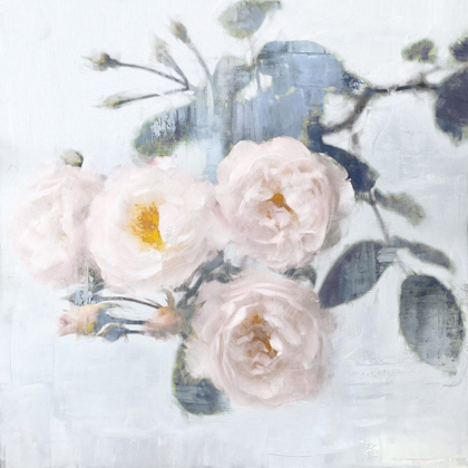 Picture of DELICATE BLUSH I