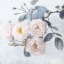 Picture of DELICATE BLUSH I